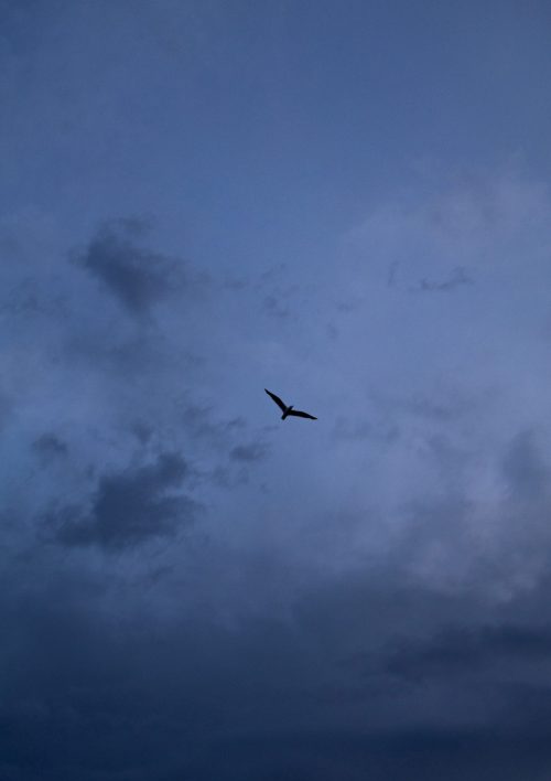 IMG_2189