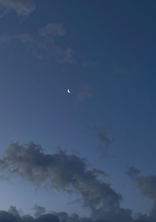 IMG_5770